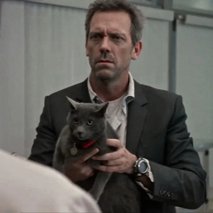 Avatar of Gregory House || Menace Cat