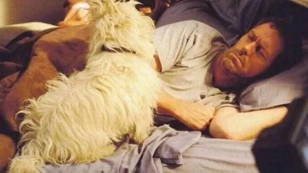 Avatar of Gregory House || The Family Man