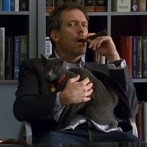 Avatar of Gregory House | New Cat