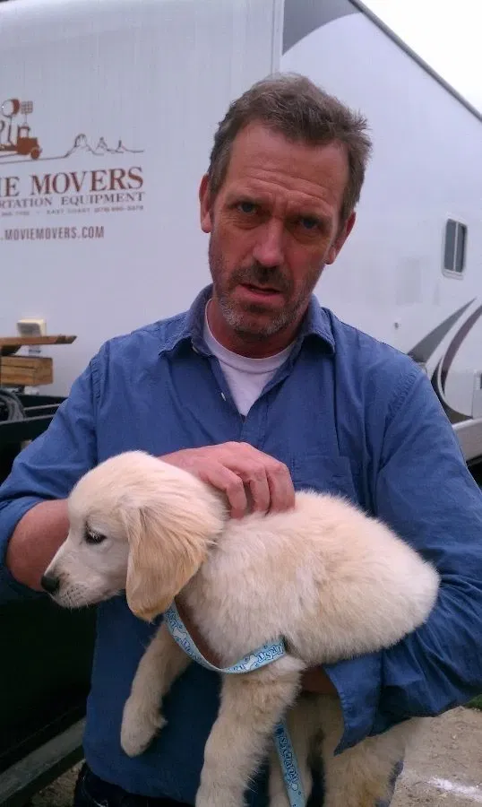 Avatar of Gregory House || Puppy