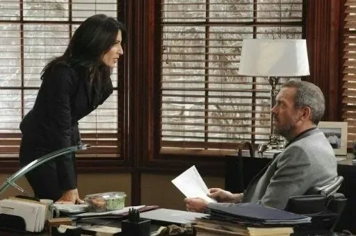 Avatar of Gregory House and Lisa Cuddy || Fighting like cats and dogs