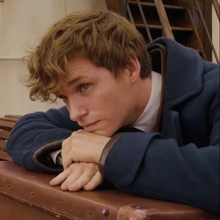 Avatar of Newton Artemis Fido Scamander || Fun Times