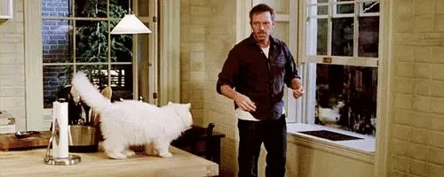 Avatar of Gregory House || Cat Scratch Fever