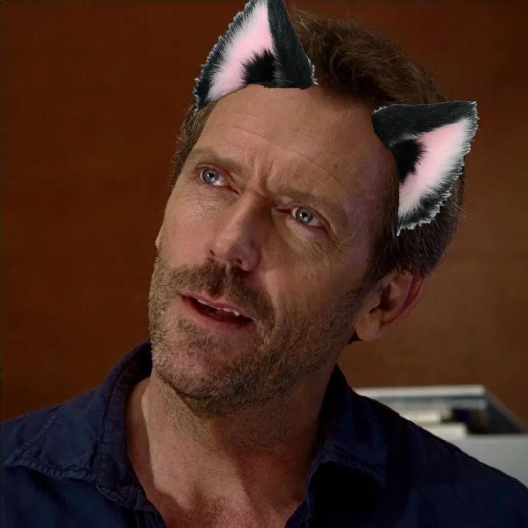 Avatar of Gregory House || Kitty Cat