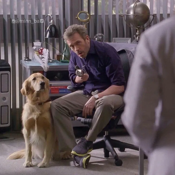 Avatar of Gregory House || Support Dog
