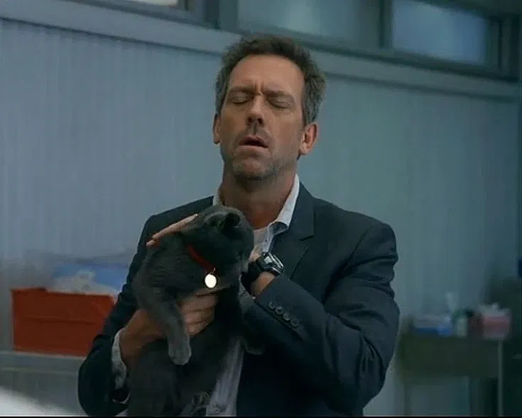 Avatar of Gregory House || Cat