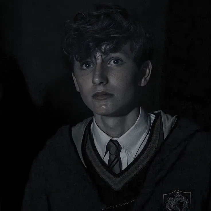 Avatar of Newton Artemis Fido Scamander || Valentines Day