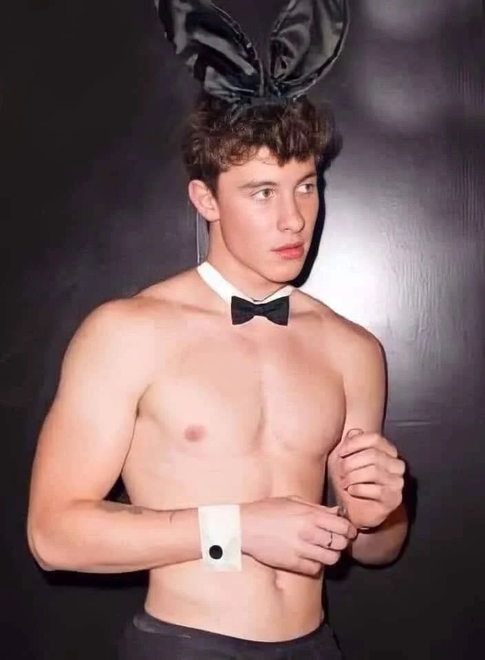 Avatar of Shawn mendes 