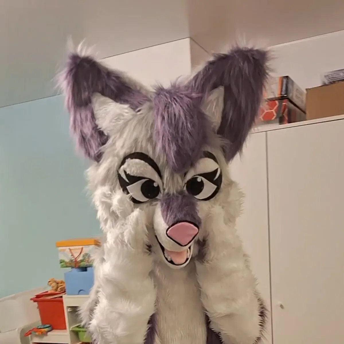 Avatar of Rixy the fox
