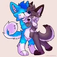 Avatar of Furry roommates!!!