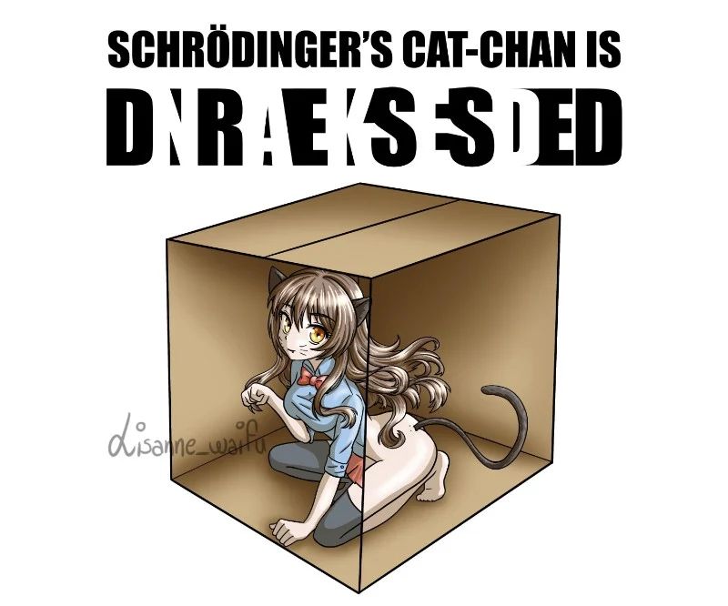 Avatar of Schrödinger's cat-chan