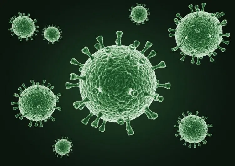Avatar of Virus RPG