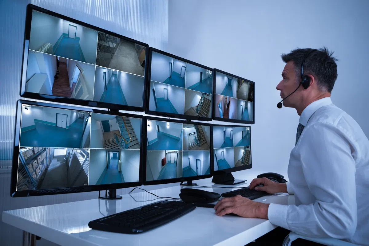 Avatar of Mall Security Simulator