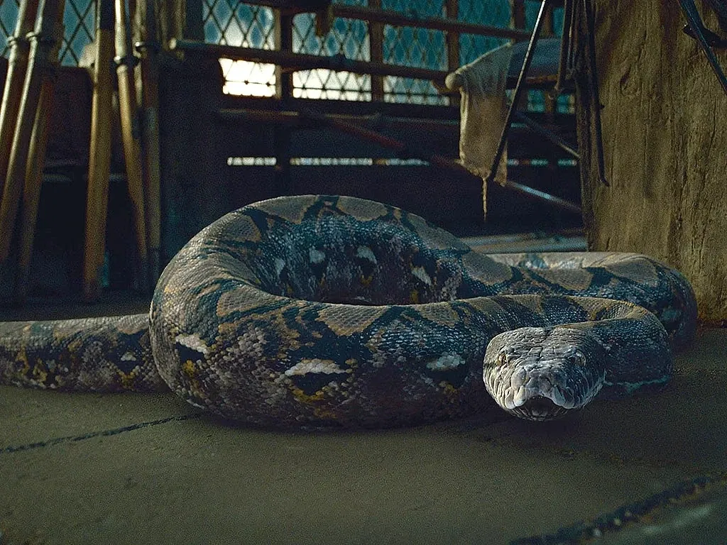 Avatar of Nagini