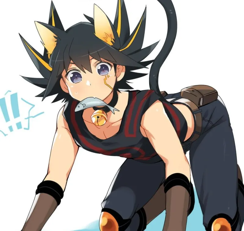 Avatar of catboy yusei fudo