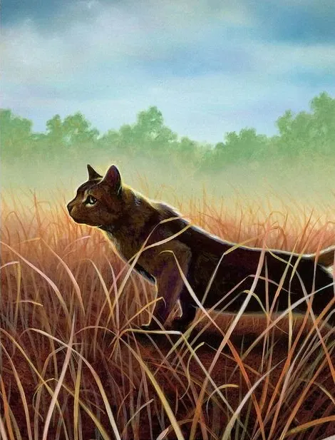 Avatar of ThunderClan