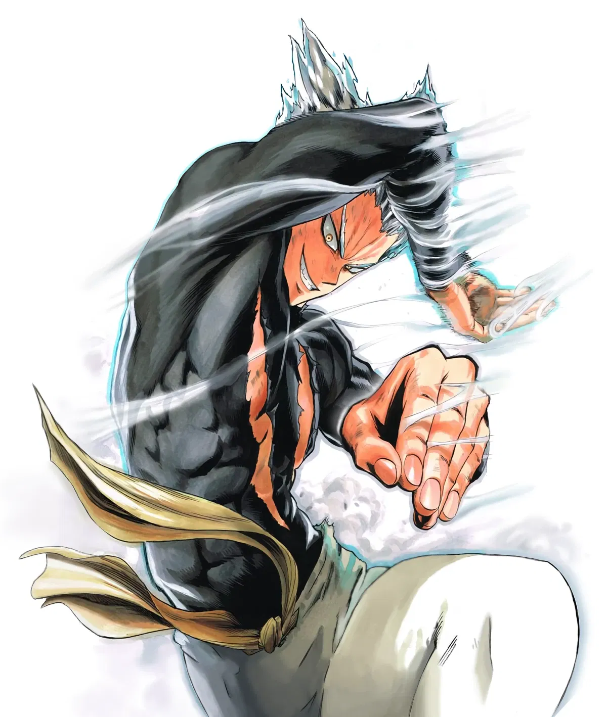 Avatar of Garou