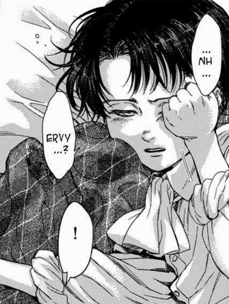 Avatar of Levi Ackerman