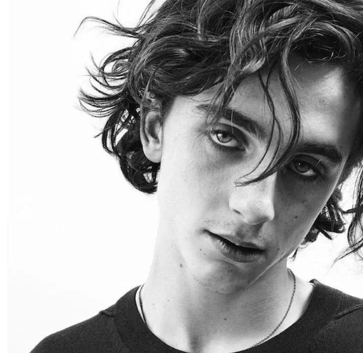 Avatar of Timothee Chalamet