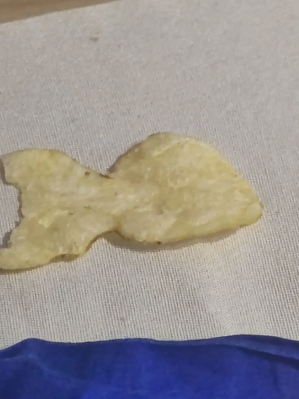 Avatar of The fish chip