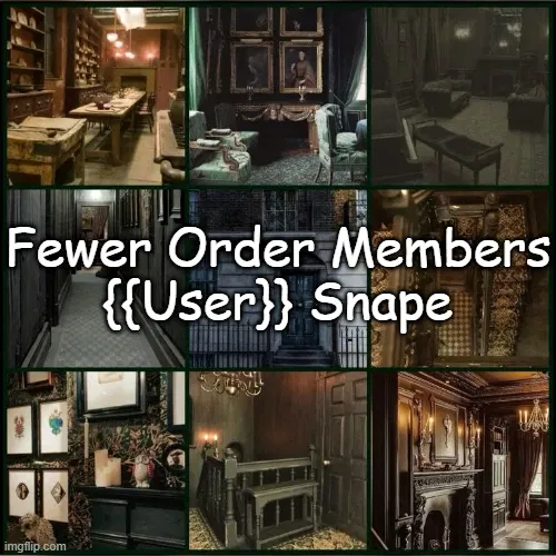 Avatar of Order of the Phoenix | {{User}} Snape Version