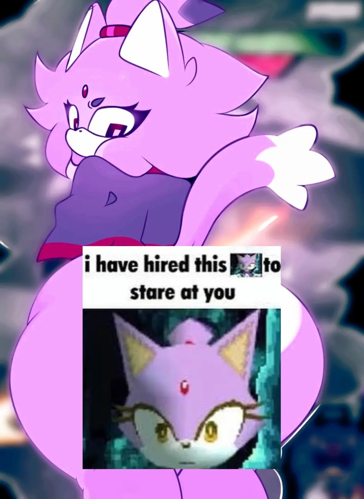 Avatar of Blaze The Cat(Outcome Memoriee)