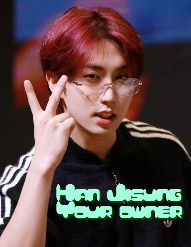 Avatar of Han Jisung | Your owner★