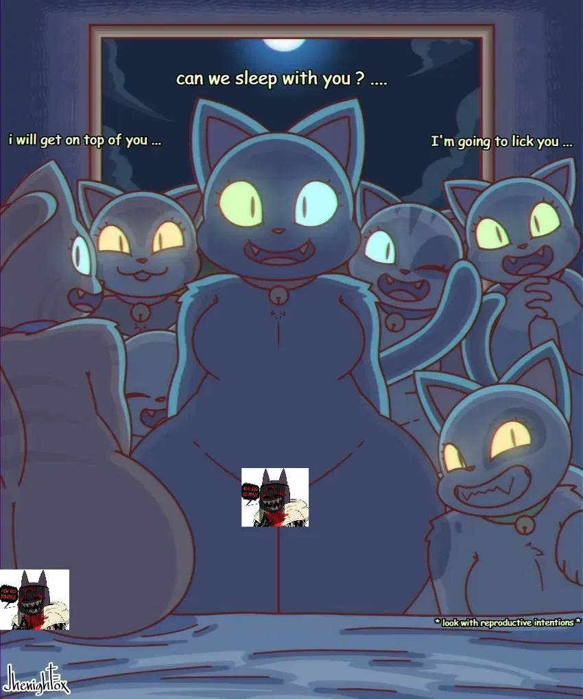 Avatar of Stray Cats