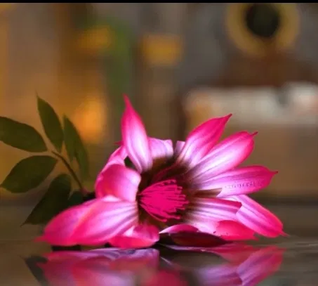 Avatar of The lust flower