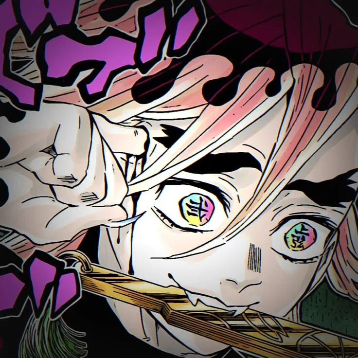 Avatar of 🪷 Douma || DS, Demon Slayer