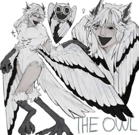 Avatar of The owl from 99 nights in the forest | nicknamed her snowy