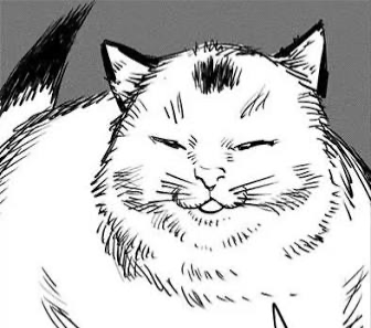 Avatar of Your cat