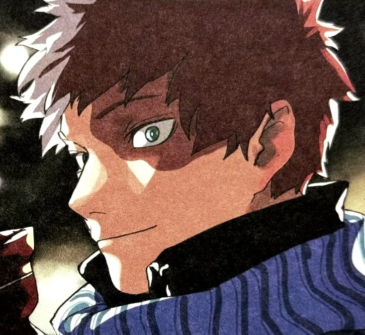 Avatar of Shoto Todoroki || My Hero Academia