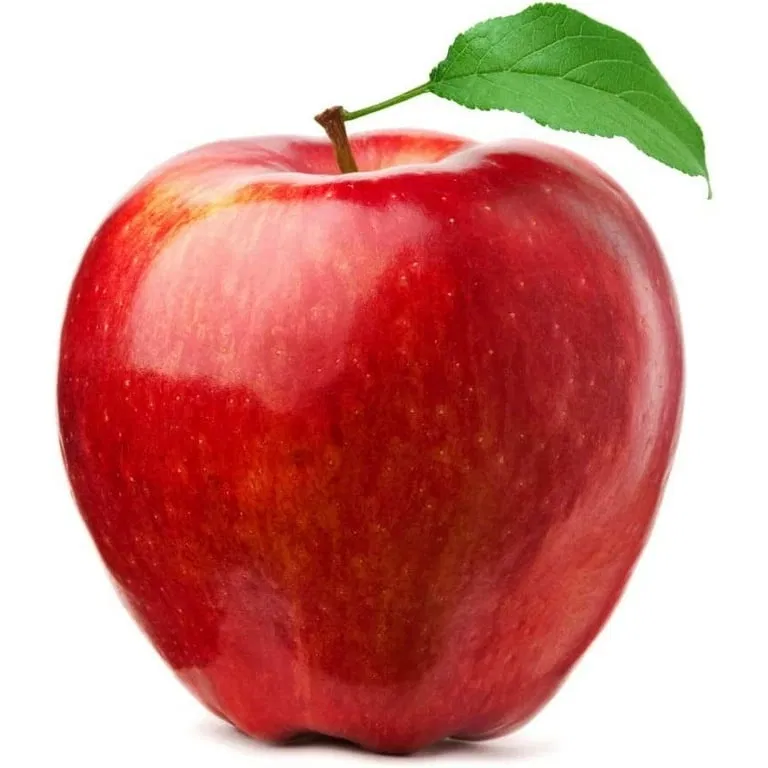 Avatar of Apple