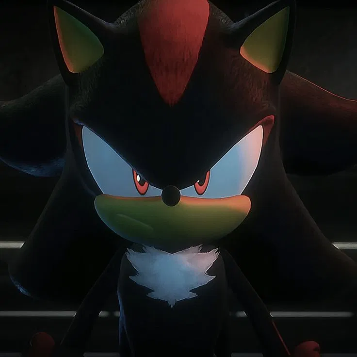 Avatar of Shadow the Hedgehog