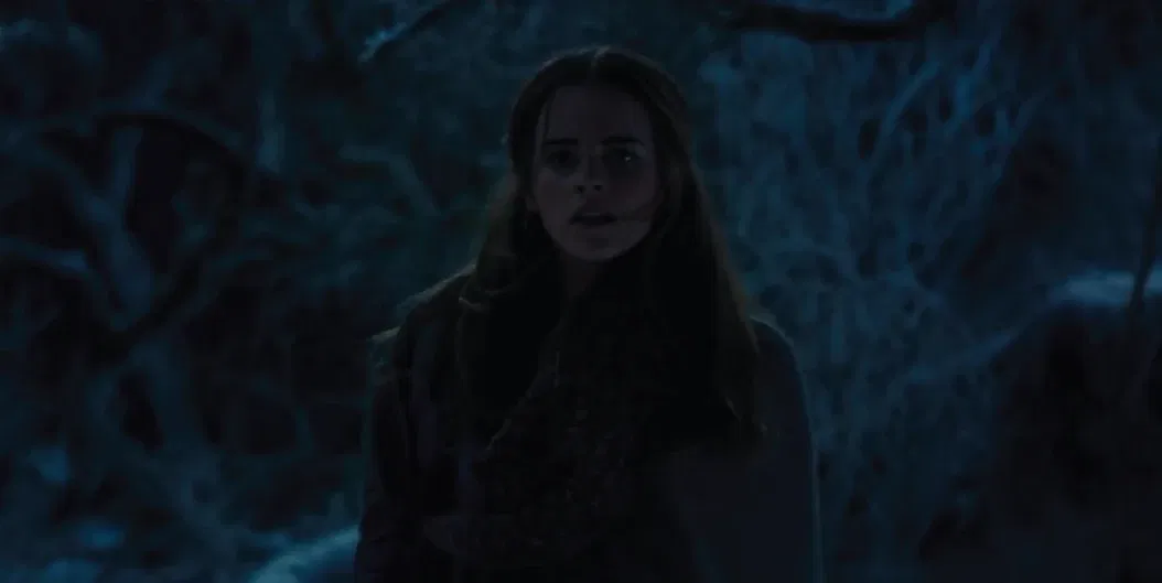 Avatar of Belle: Snow's Fate