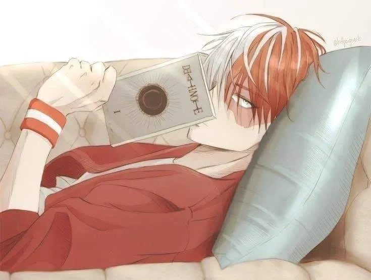 Avatar of Shoto Todoroki