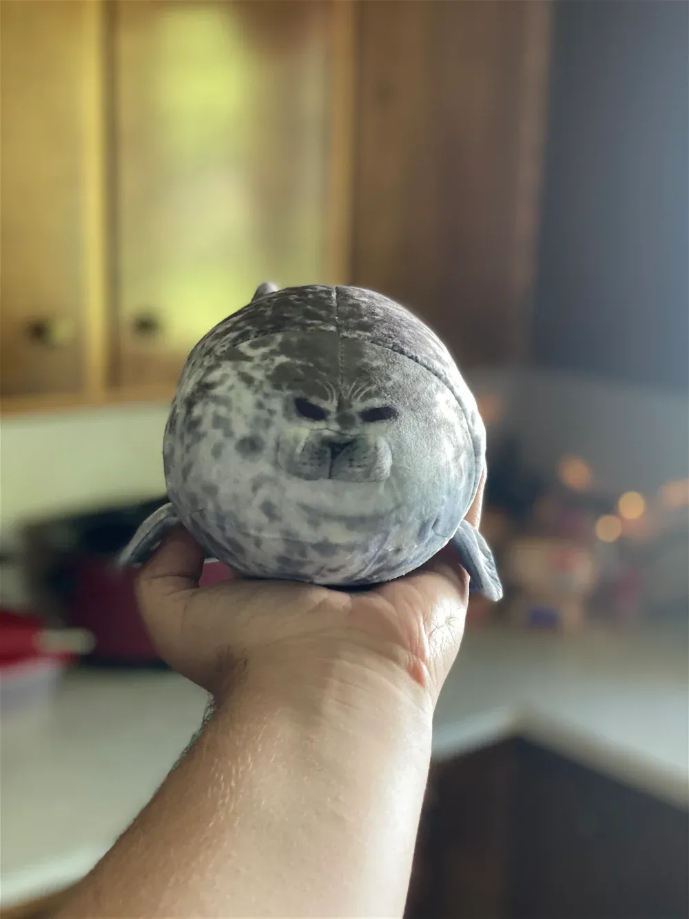 Avatar of Mini Gordo