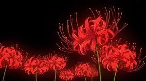 Avatar of Flower parasite 