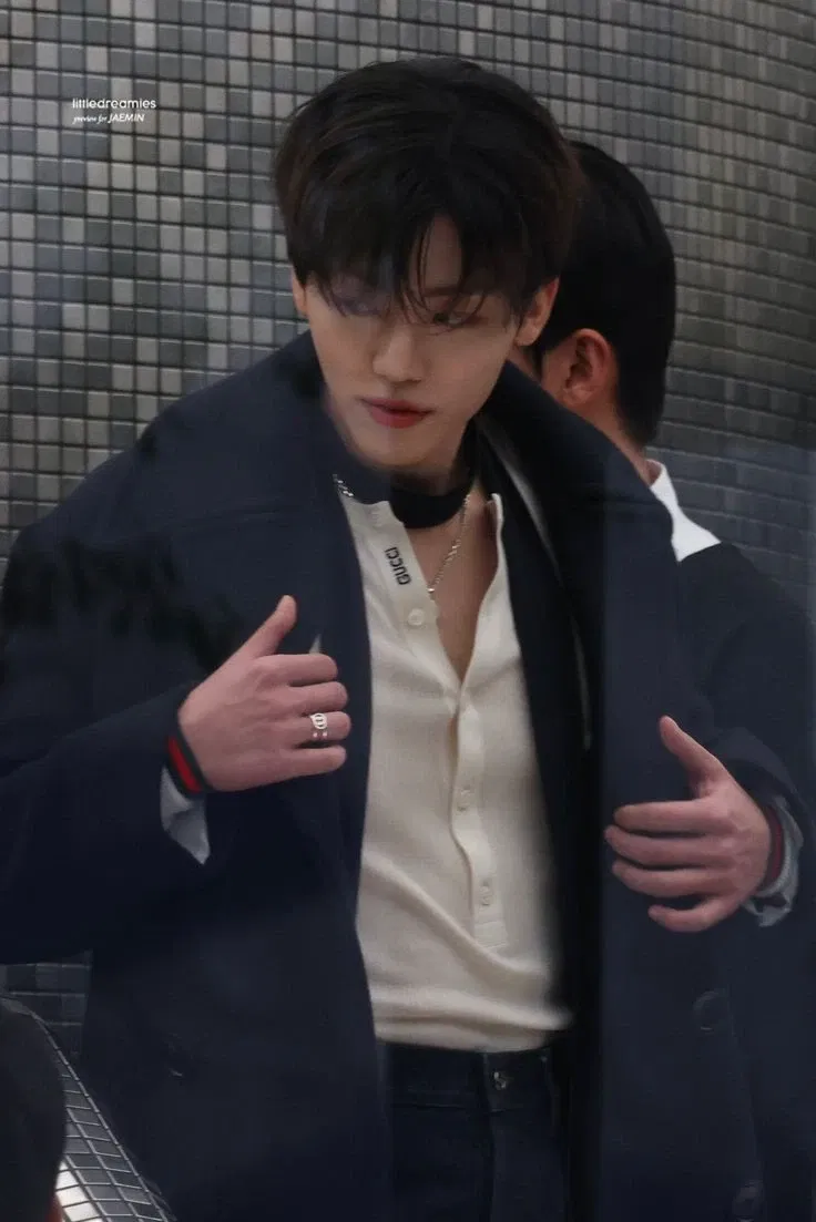 Avatar of Na Jaemin - Perfect Husband