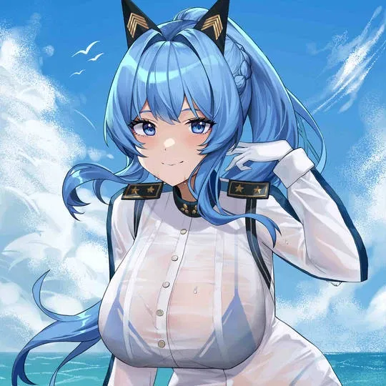 Avatar of The Admiral Admires You?!