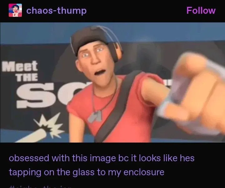 Avatar of Scout TF2