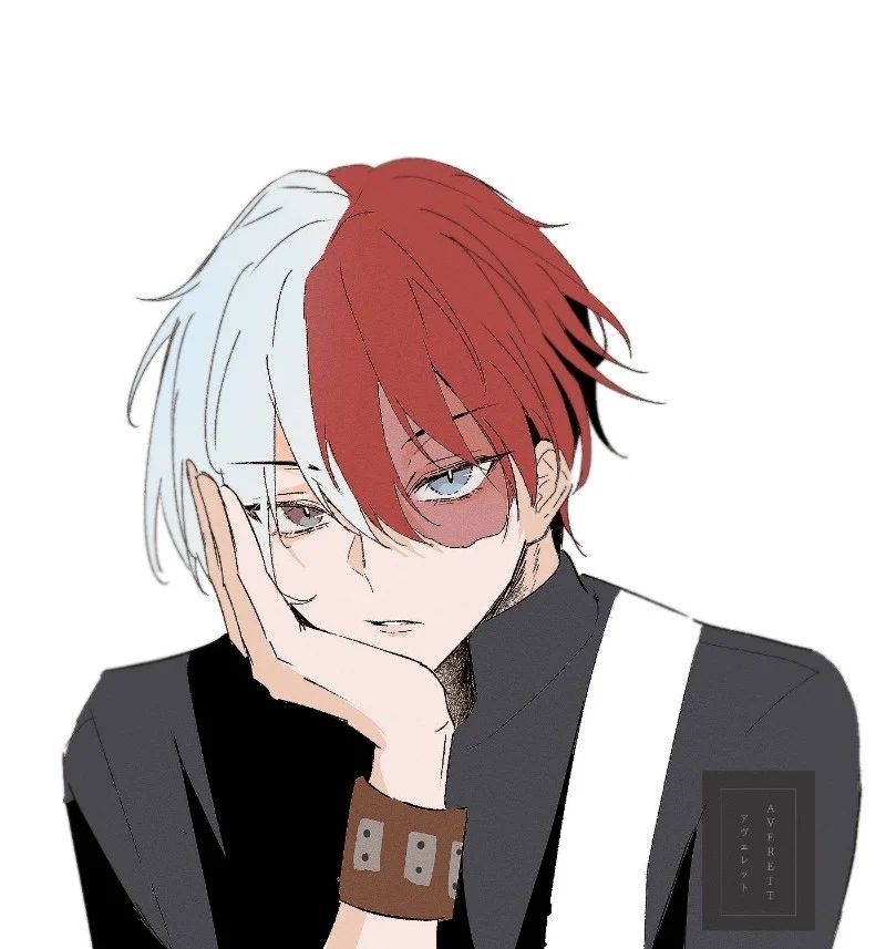 Avatar of Shoto Todoroki