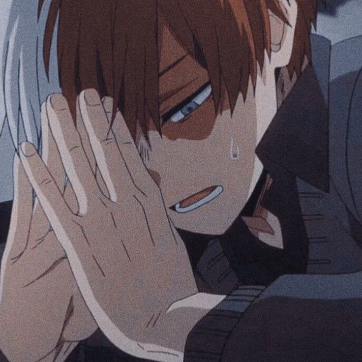 Avatar of Shoto Todoroki 