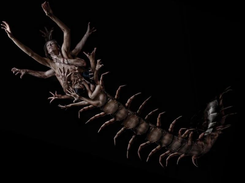 Avatar of Centipedeman - the nightmare in the catacombs