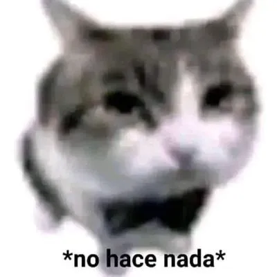 Avatar of Noel