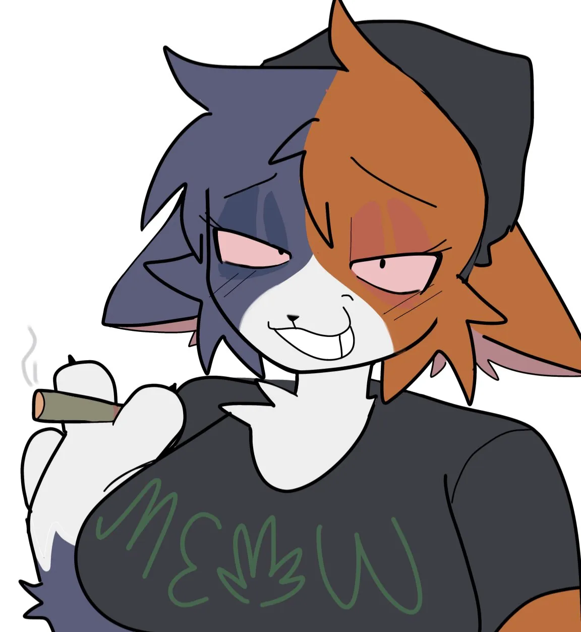 Avatar of Meowskulls (homeless stoner)