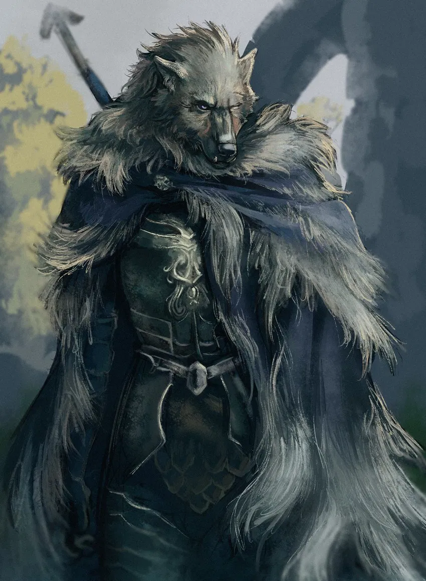 Avatar of Blaidd - The Inevitable Meeting