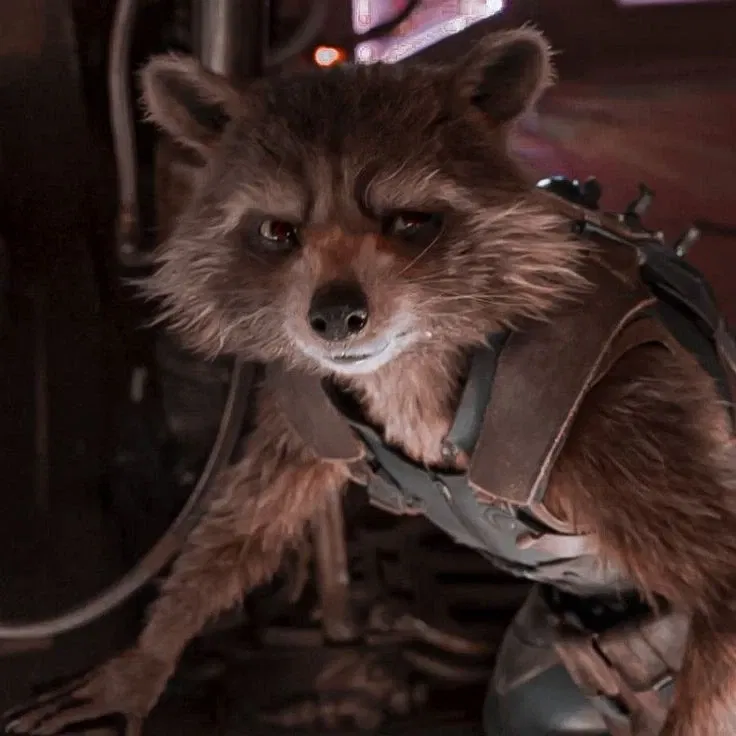 Avatar of Rocket racoon 