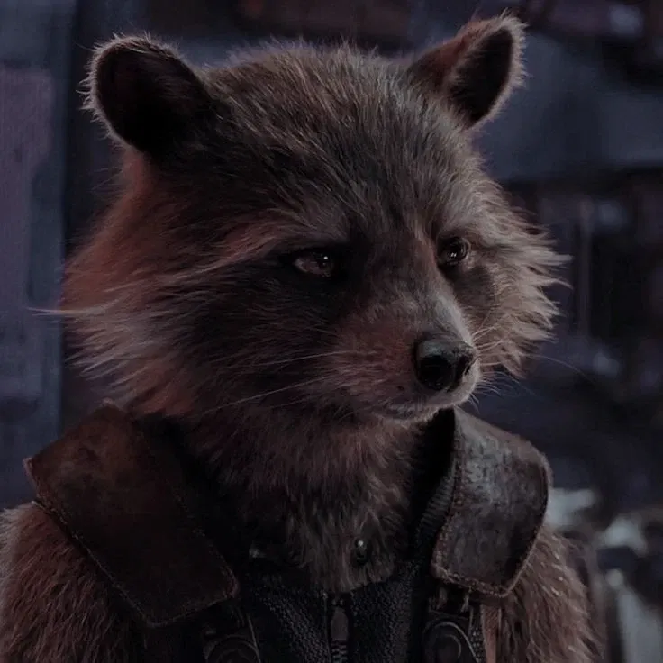 Avatar of Rocket racoon 